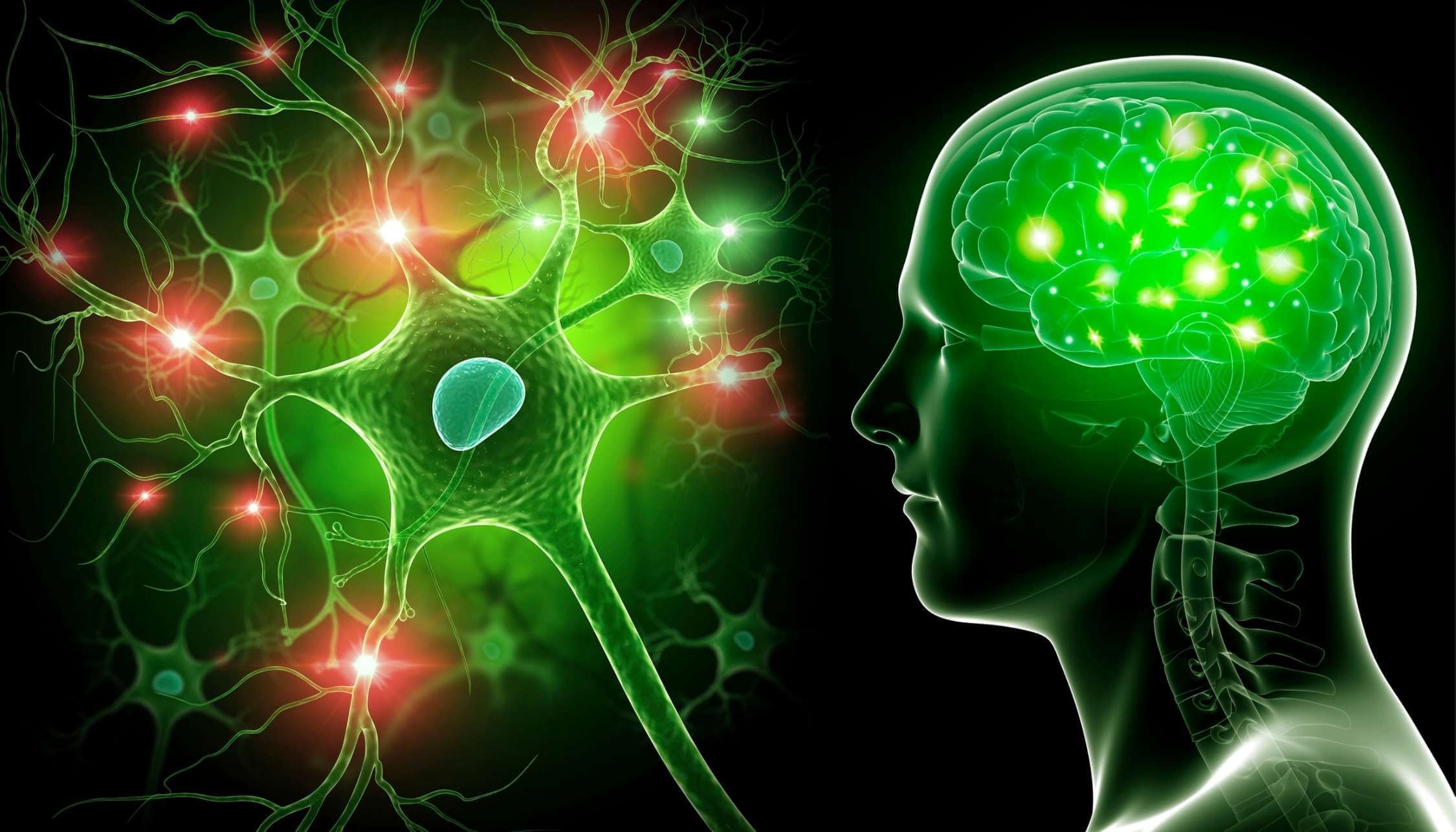 Neuroplasticity: What It Is, Why It Matters And What You Should Know